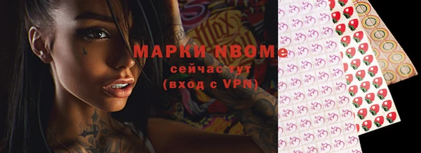индика Абаза
