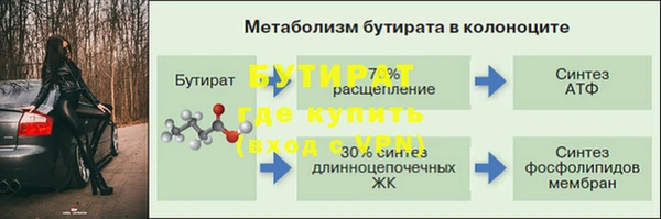 индика Абаза