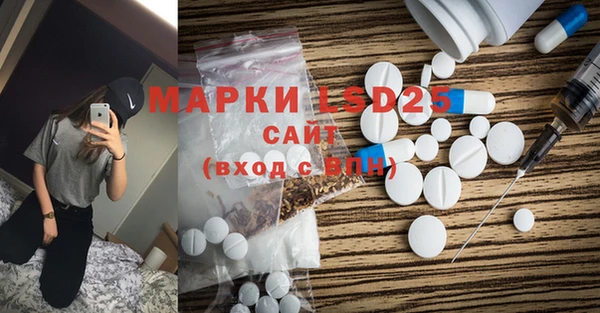 индика Абаза