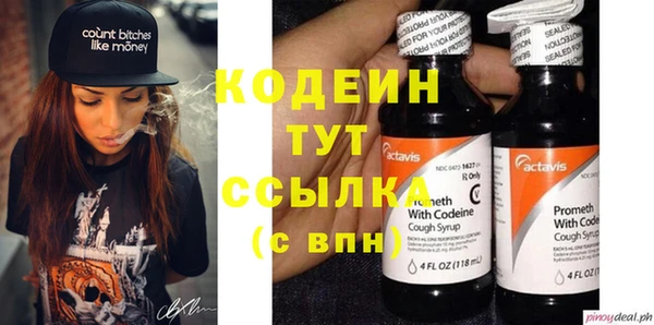 индика Абаза