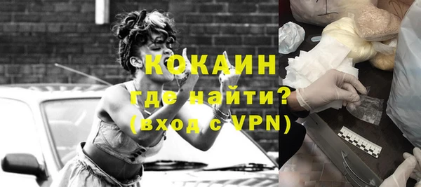 индика Абаза