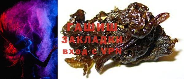 индика Абаза