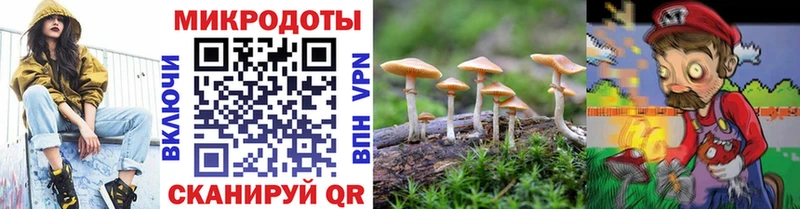 Псилоцибиновые грибы ЛСД Темников